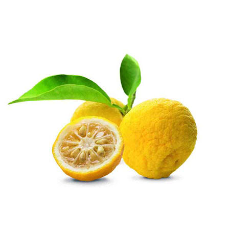 Bild für Kategorie Zitrusprodukte